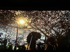 -CGV影城(卓悦中心 IMAX激光店)