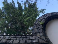 -乌山风景区