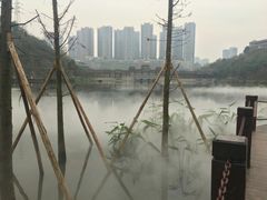 -重庆彩云湖湿地公园