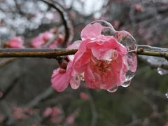 -湖南嵩云山国家森林公园