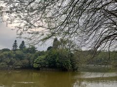 -深圳仙湖植物园