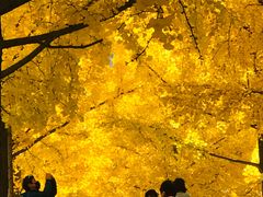 -世博源公馆·本帮融合菜·主题包厢·江景餐厅
