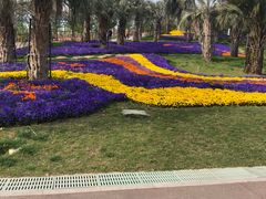 -南通洲际绿博园