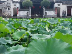 -清漾毛氏文化村