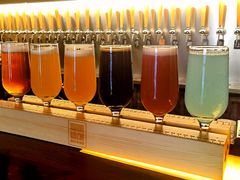 -麦落精酿啤酒餐吧(先农大院店)