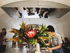 -Seesaw Coffee(上生新所店)