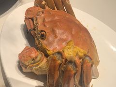 -青蓬蒸汽海鲜·深圳老字号·团建聚会(壹方城店)