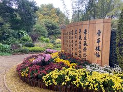 -上海醉白池公园