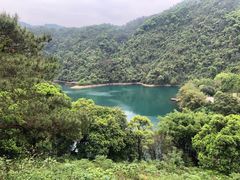 -荣华酒楼(鼎湖区店)
