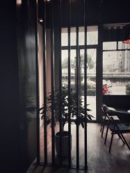 -茶发Salon·烫发染发理发