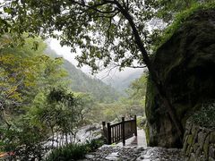-百杖潭景区