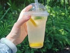 -海南鉴湖蓝湾高尔夫球会