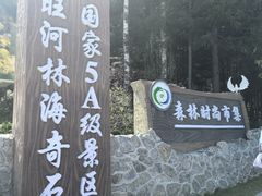 -汤旺河林海奇石景区