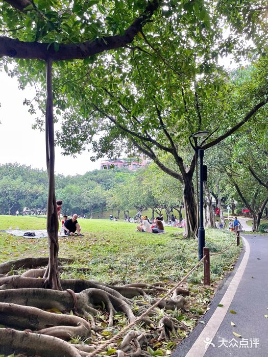 广州雕塑公园图片