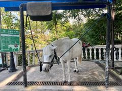 -J Create城市露营咖啡·简餐·宠物(上海动物园店)