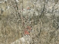 -碓臼峪自然风景区