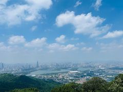 -紫金山山顶公园