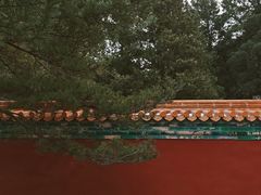 -颐和园