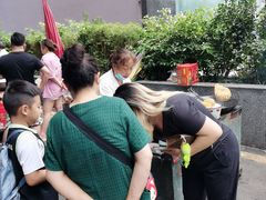 -六广门毛阿姨糯米饭