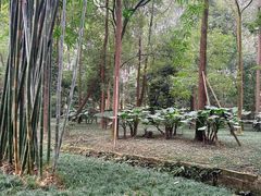 -成都杜甫草堂博物馆