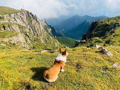 -芦芽山旅游度假区