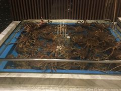 水产区-蟹将军·松叶蟹和牛日料放题自助(K11店)