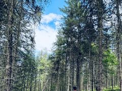 -硗碛藏寨·神木垒景区