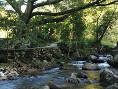 -广州市石门国家森林公园