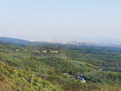 -紫金山天文台