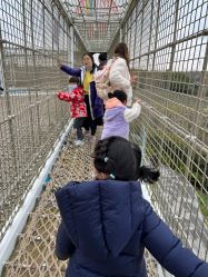 -季高兔窝窝亲子园(上海薰衣草公园店)