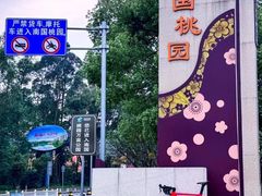 -南国桃园旅游度假区