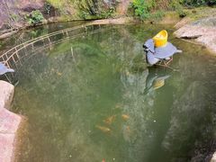 -雁荡山风景名胜区