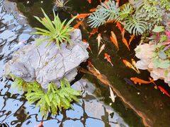 -广州白天鹅宾馆