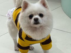 -怪兽屋·羊驼·猫咖·狗咖(俊华广场店)