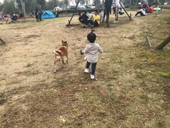 -梁子湖东篱老屋生态庄园