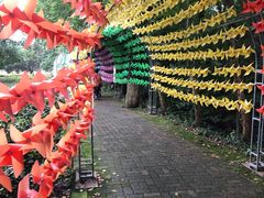 -宝岩生态观光园