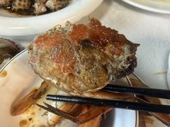 -莲花公园煎蟹(总店)