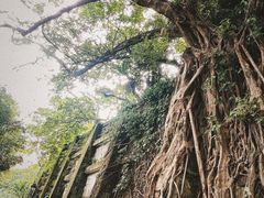 -九龙公园