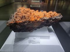 -湖南省地质博物馆