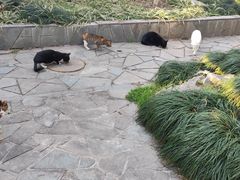 -静安公园(静安寺街道)