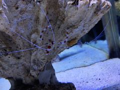 -郑州海洋馆