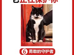 -瑞派福兴宠物医院犬猫全科·骨科·中西医结合(河东店)