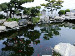 -中国唐苑