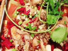 经典干锅蛙-蛙宝厨