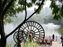 -重庆彩云湖湿地公园