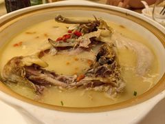 -喜来登由由大酒店九州膳坊中餐厅