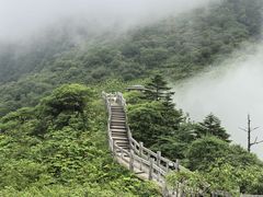 -西岭雪山大飞水景区