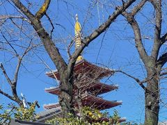-浅草寺