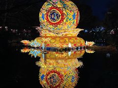 -趵突泉景区