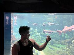 -南昌融创海世界